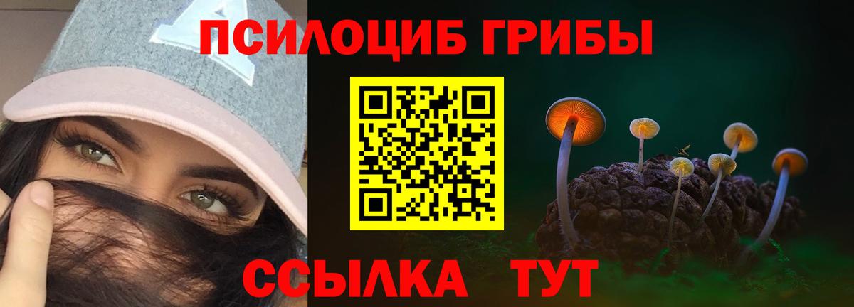 Красноуфимск  Псилоцибиновые грибы Magic Shrooms  Вход с VPN  Псилоцибиновые грибы GOLDEN TEACHER 